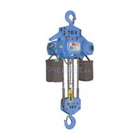 Aparejo Eléctrico Cadena 380 V 10 T 9m Control 24v