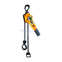 Aparejo Elevador Manual a Cadena 1 T 1,5 M