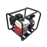 Motobomba 2x2 7Hp 25000l/h 22m Nafta Apto Químicos