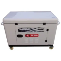 Generador 9 Kw Gas Natural Sonorizado Con ATS 380 V