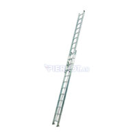 Escalera Extensible Aluminio 20 Peldaños 3,14 / 5,28m 150 kg